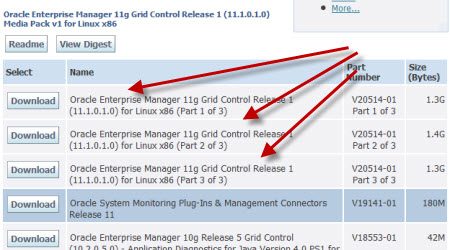 Installing Enterprise Manager Oracle 11g - intensivetru